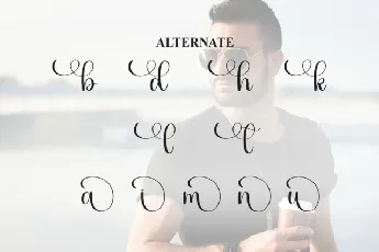 Handsome Calligraphy font