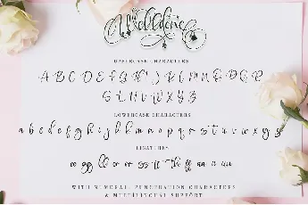 Welldone font