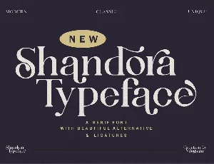 Shandora Typeface font