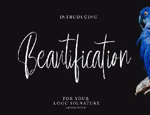 Beautification font