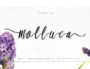 Molluca Script Free font