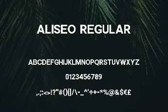 Aliseo Family font