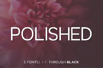 Polished font