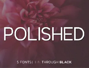 Polished font