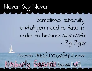 Never Say Never font