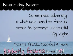 Never Say Never font