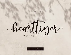 Hearttiger font