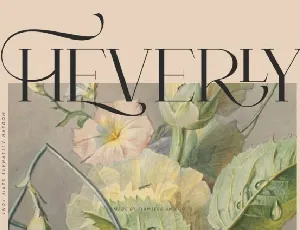 Heverly font