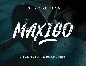 Maxigo font