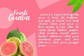 Fresh Guava Script font