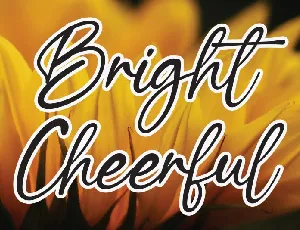 Bright Cheerful Script font