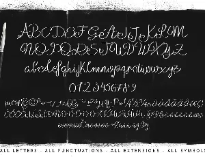 Julianne Script Typeface font