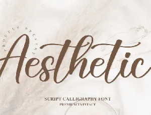 Aesthetic Typeface font