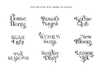 Helena Diary font