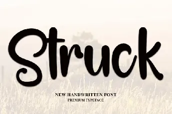 Struck Typeface font