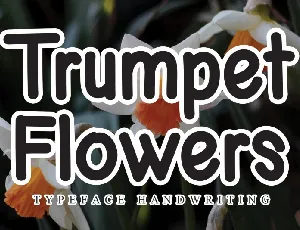 Trumpet Flowers Display font