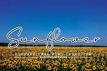 Sunflower Handwritten font