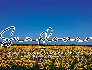 Sunflower Handwritten font