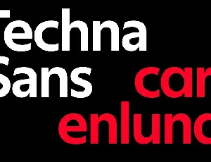 Techna Sans font