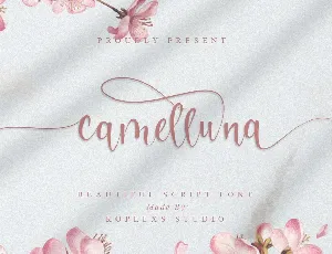 Camelluna font