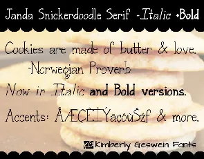 Janda Snickerdoodle Serif font