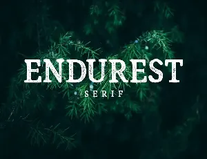 Endurest font