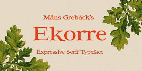 Ekorre PERSONAL USE ONLY font