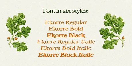 Ekorre PERSONAL USE ONLY font