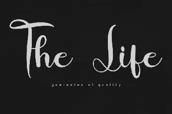 The Life font