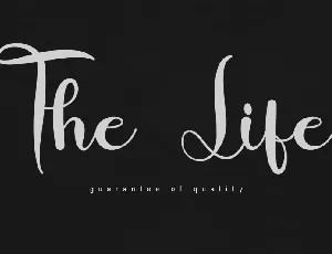 The Life font