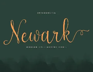 Newark-demo font