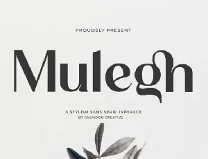 Mulegh font