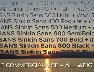 Sinkin Sans font