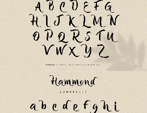 Hammond Free font