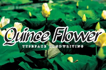 Quince Flower Brush font