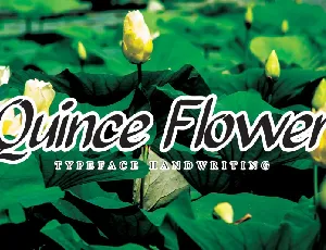 Quince Flower Brush font