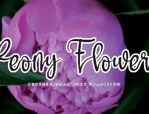 Peony Flower Script font