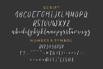 The Right Attitude Script Duo font