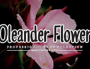 Oleander Flower Script font