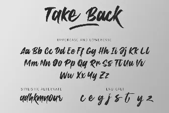 Take Back font