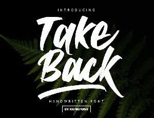 Take Back font