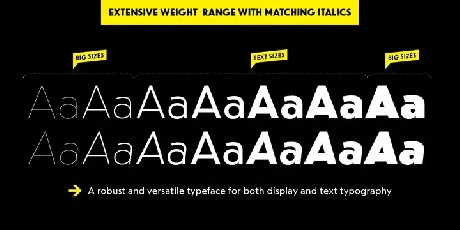 dT Jakob Family font