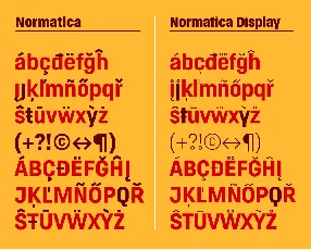 Normatica & Normatica Display Typeface font
