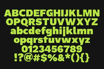 Rayflo Family font