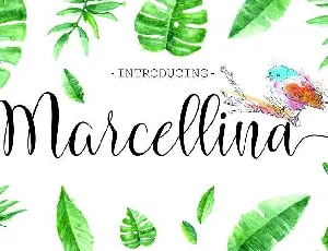 Marcellina Script Free Download font