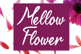 Mellow Flower Script font