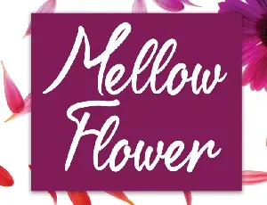 Mellow Flower Script font