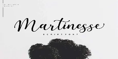 Martinesse font