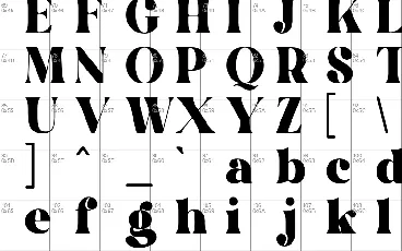 Elcasio Misro font