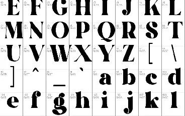 Elcasio Misro font